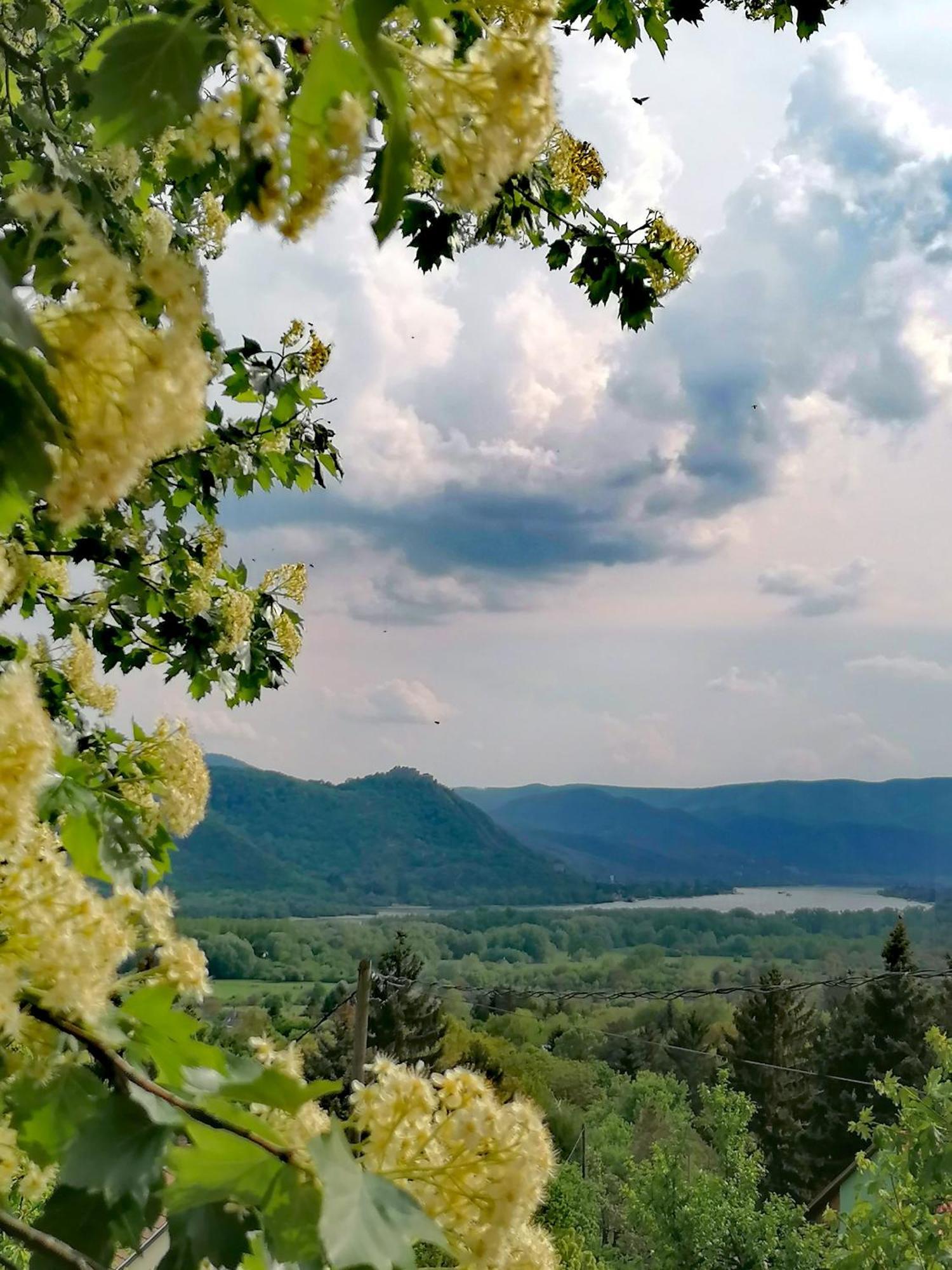 Barkoca Es Szepkilatas Vendeghaz / Cabin Verőcemaros Bagian luar foto