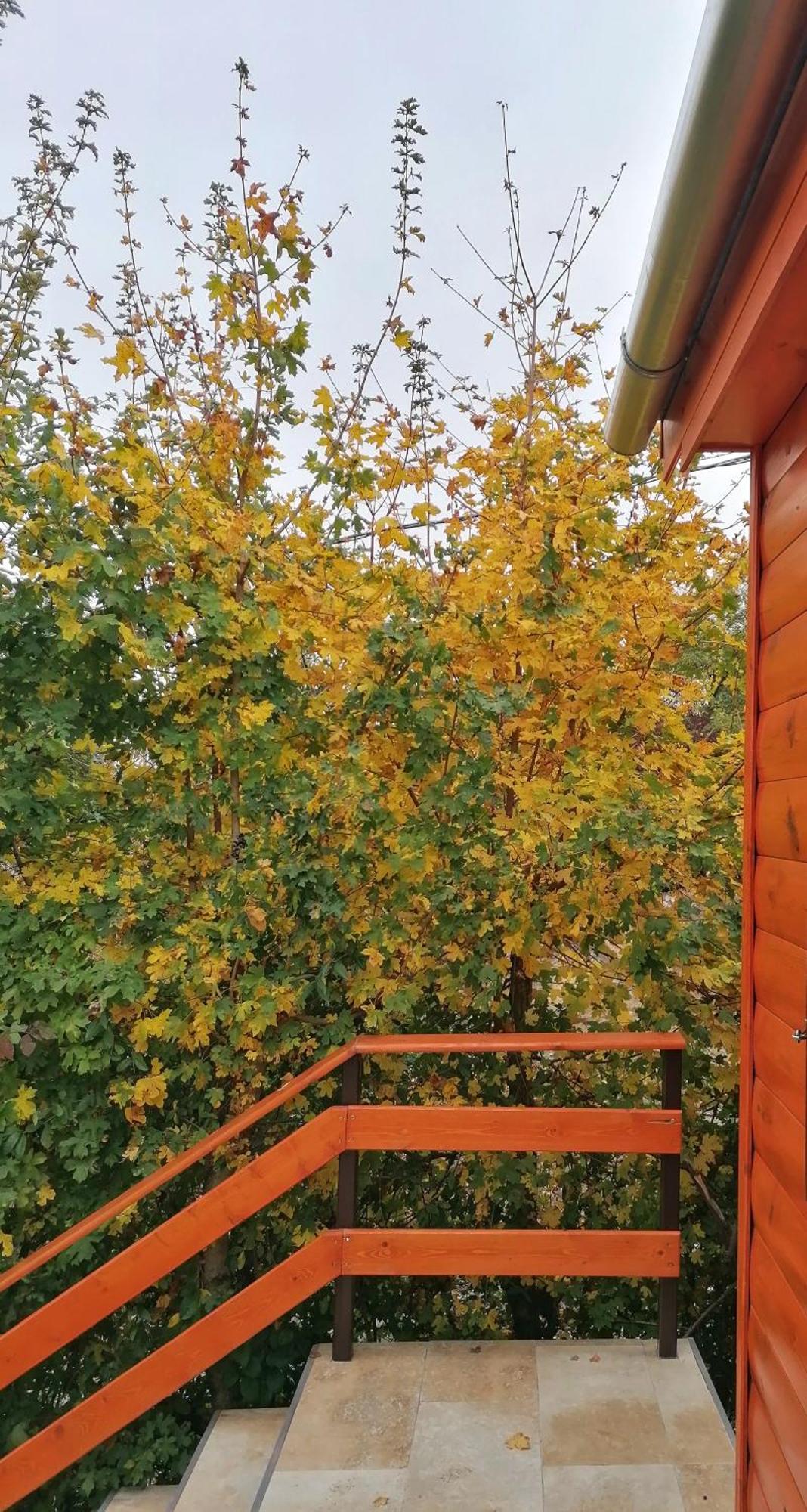 Barkoca Es Szepkilatas Vendeghaz / Cabin Verőcemaros Bagian luar foto