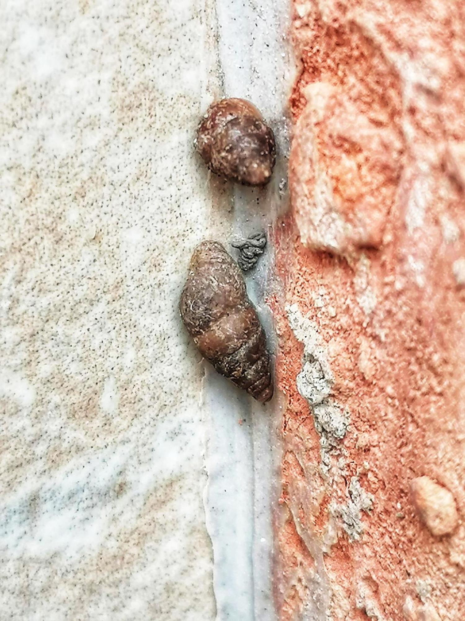 Barkoca Es Szepkilatas Vendeghaz / Cabin Verőcemaros Ruang foto