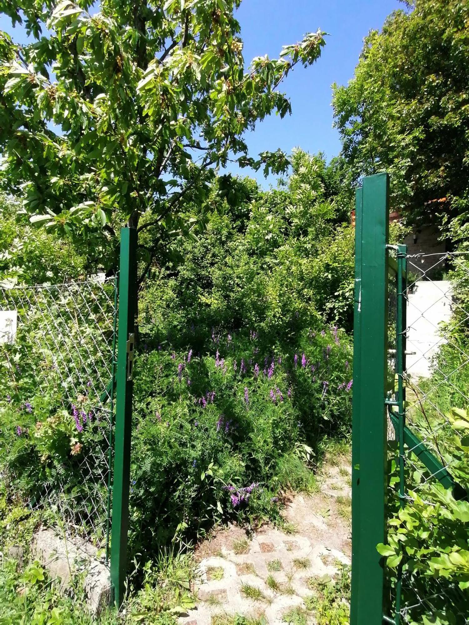 Barkoca Es Szepkilatas Vendeghaz / Cabin Verőcemaros Ruang foto